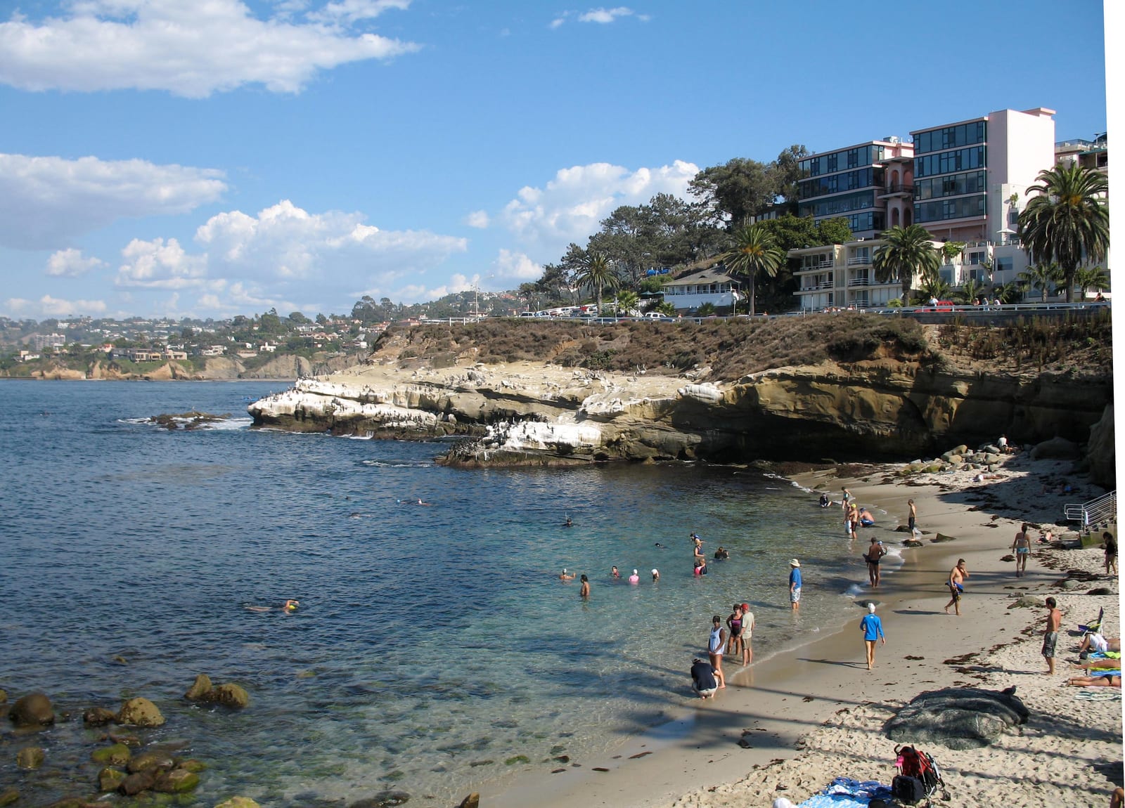 Swimmers and snorkelers at La Jolla Cove beach below sandstone bluffs in San Diego, California